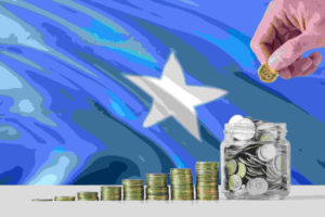 Invest Somalia - Companies in Somalia - Doing Business in Somalia